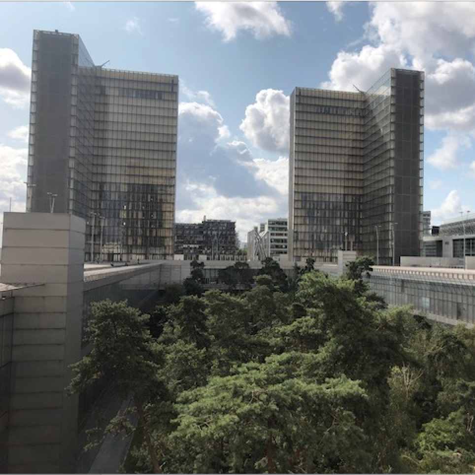 Vue du jardin planté au coeur de la bibliothèque Nationale de France © Whatizis