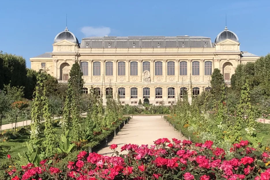 Galerie de l'Évolution © Whatizis