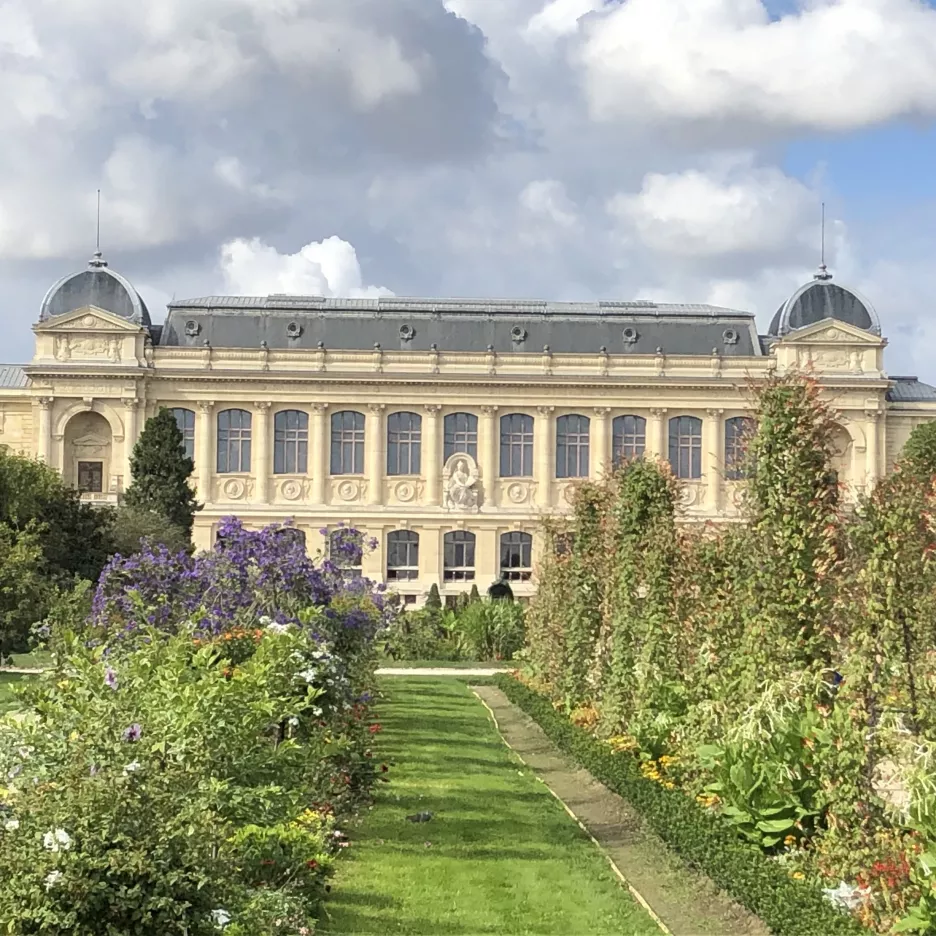 Vue du Museum d'Histoire Naturelle depuis le Jardin des Plantes © Whatizis