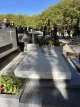 Henri SALVADOR