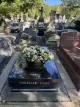Mireille DARC