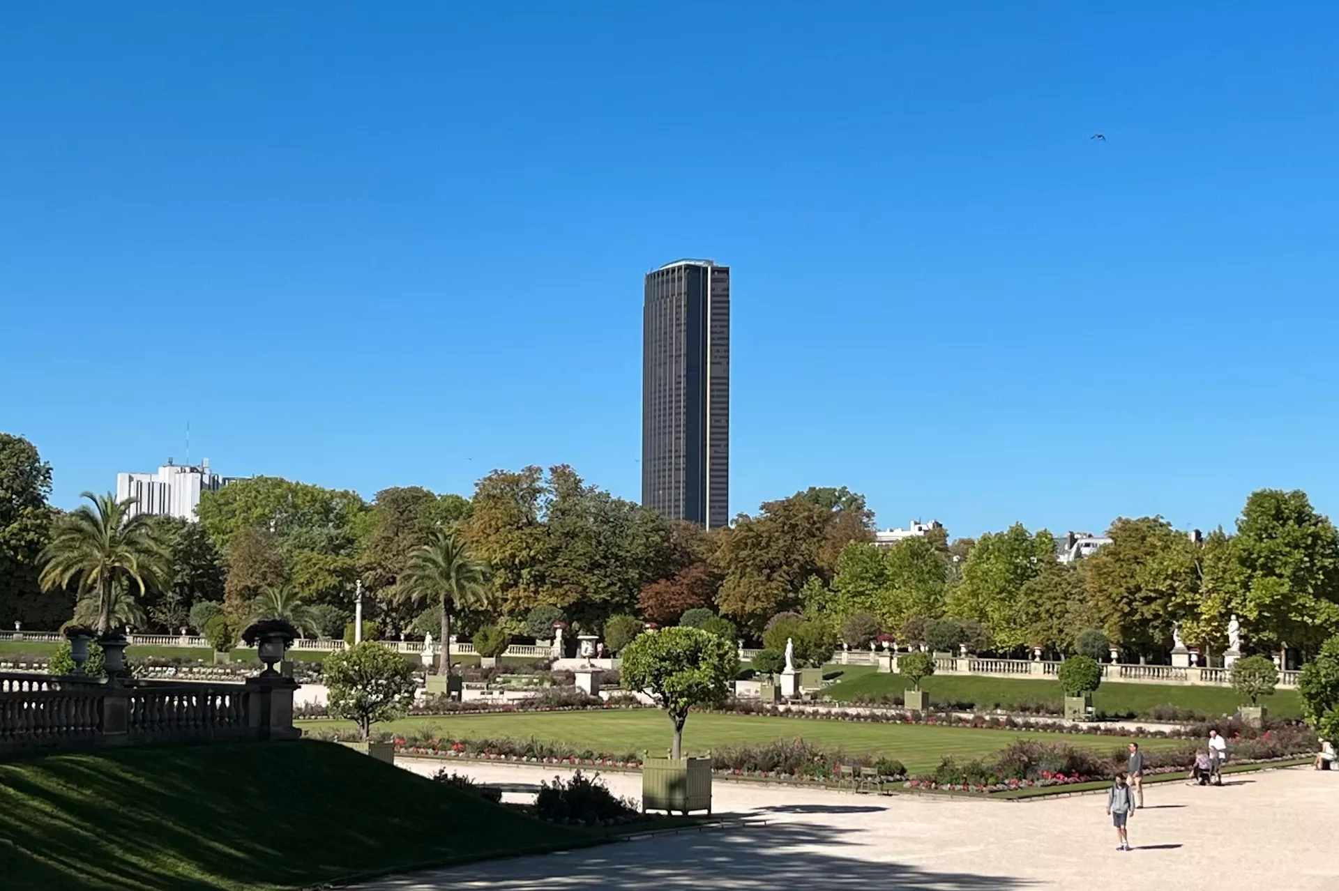 Tour Montparnasse depuis le jardin du Luxembourg © Whatizis